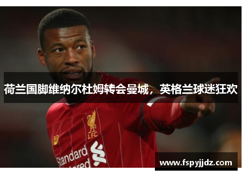 荷兰国脚维纳尔杜姆转会曼城，英格兰球迷狂欢