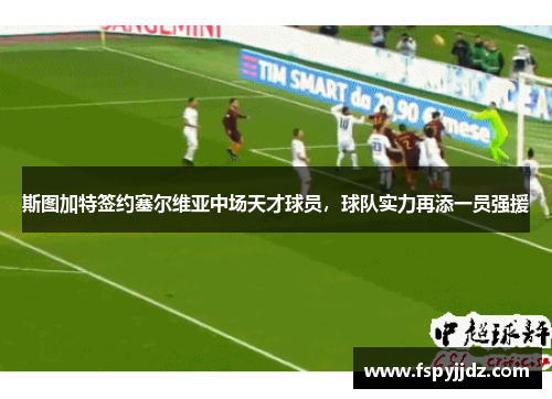 斯图加特签约塞尔维亚中场天才球员，球队实力再添一员强援